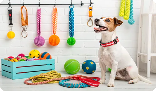 Сеть зоомагазинов «Лотос»